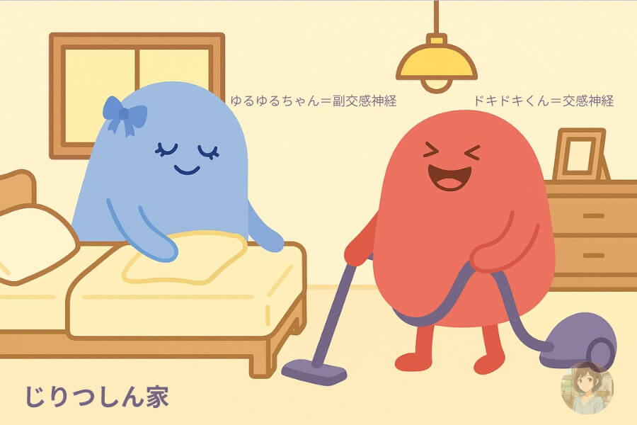 自律神経の交感神経と副交感神経がバランスよく働いているのを家で一緒に暮らすキャラで表現したイメージ